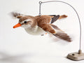 Flapping Bird Cat Toy